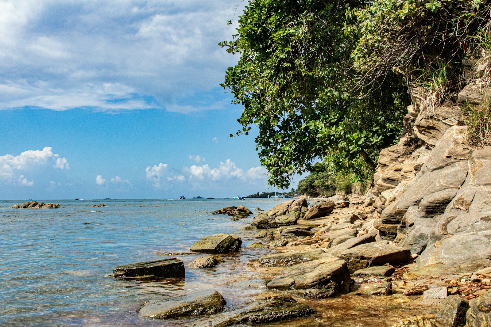 Sea and rocky coastline in Roatán, Honduras