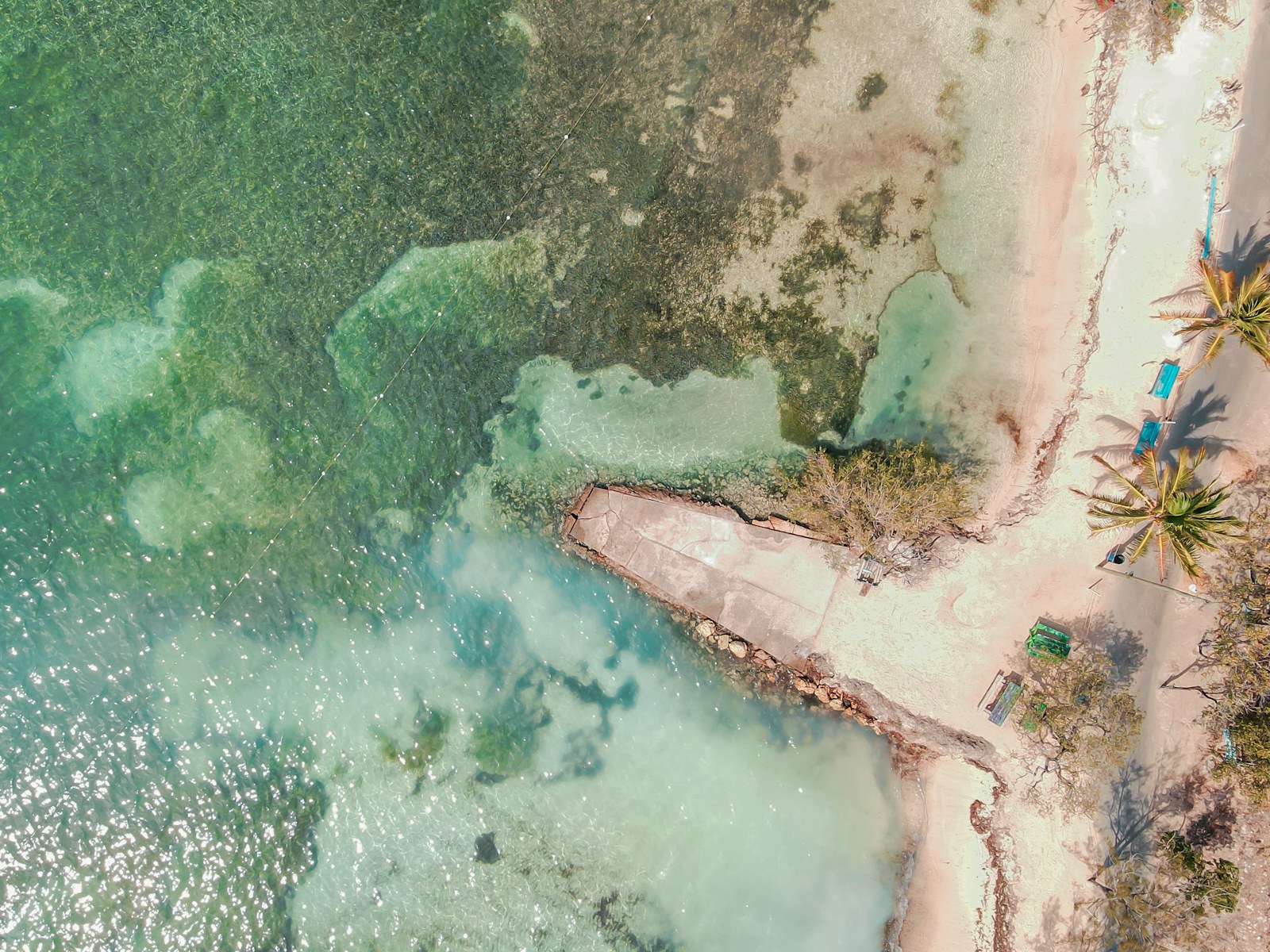 Aerial view of a beach and palm trees in Utila, Honduras